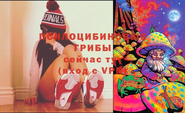 экстази Вяземский